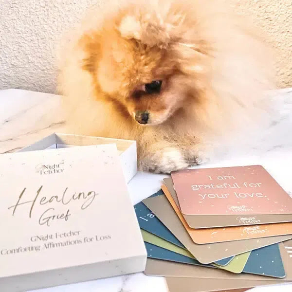 a pomeranian dog resting its head looking at comforting affirmation cards in front of him