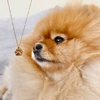 Paw Print - Cremation Necklace for Dog & Pet Ashes - Rose Gold